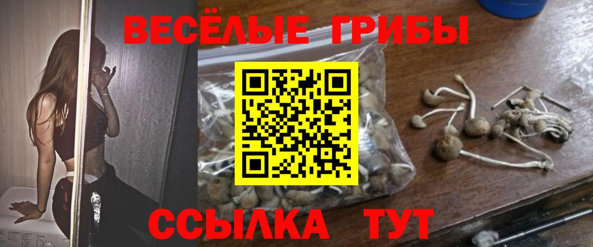 Галлюциногенные грибы Psilocybine cubensis  Вход с VPN  Копейск  купить наркотики цена  Галлюциногенные грибы Psilocybe 