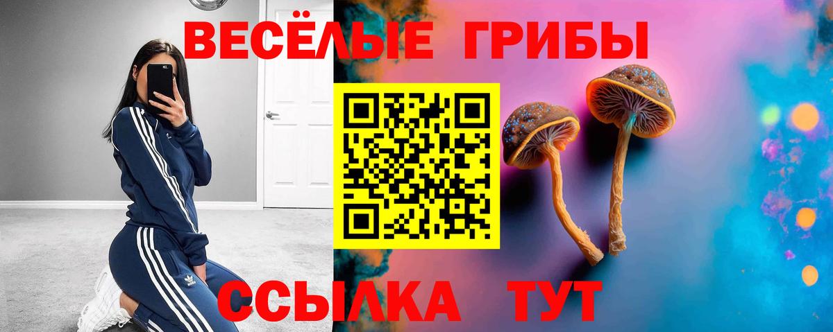 Псилоцибиновые грибы Psilocybine cubensis Копейск